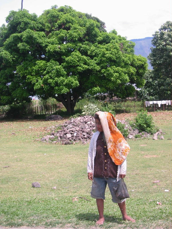 Batak woman (Lake Toba, Sumatra).JPG