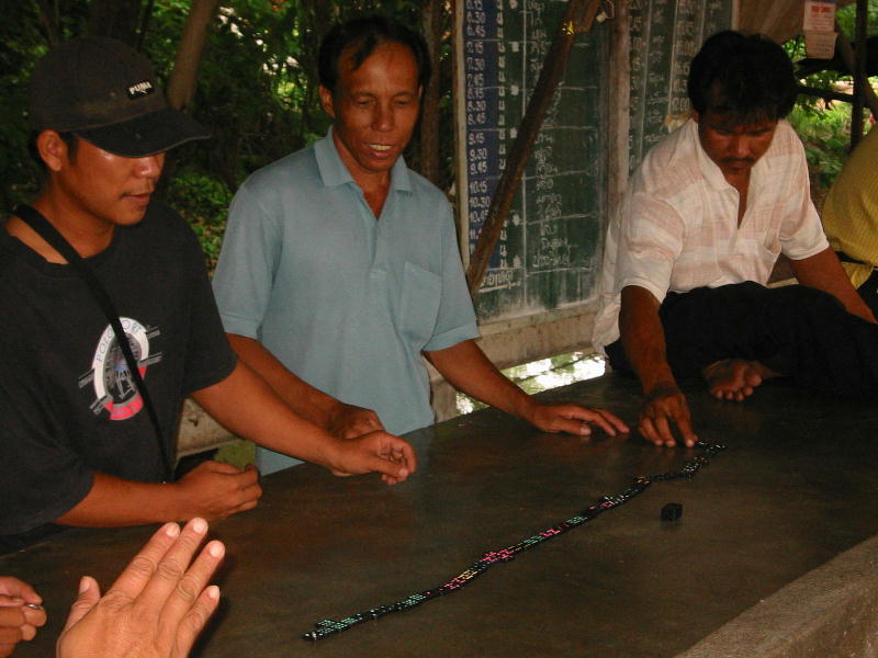 Domino (Mae Sariang, Thailand).JPG