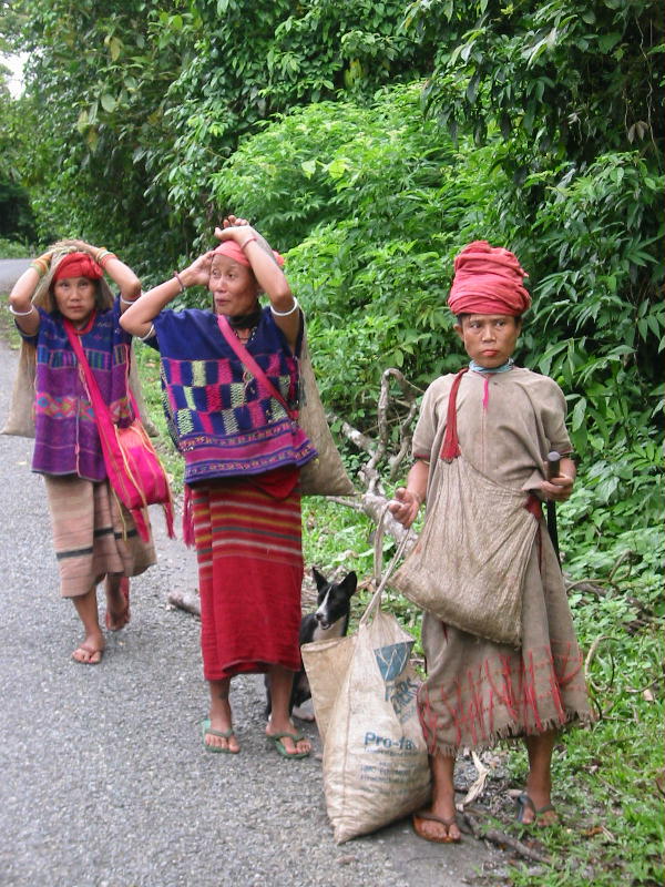 Hill tribe sale (Mae Sariang, Thailand).JPG