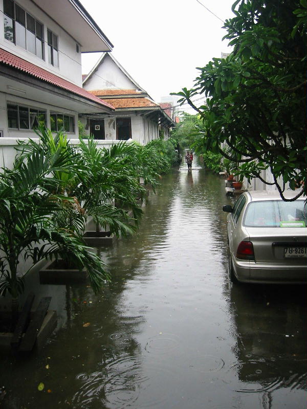 After rain (Bangkok).JPG