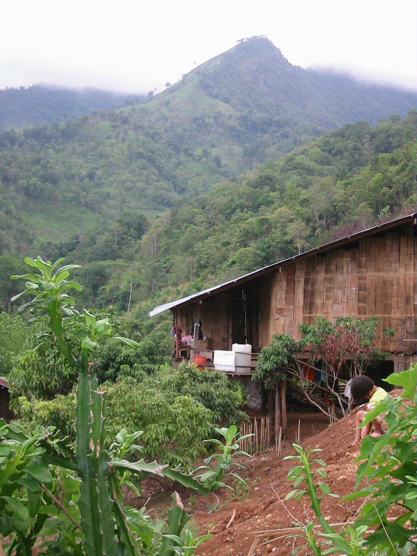 Hill tribes (Pai).JPG