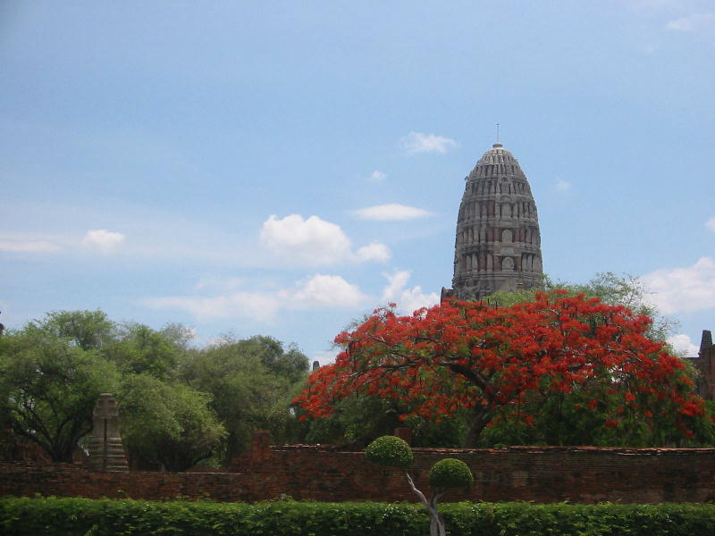 Stupa (Ayuthaya).JPG