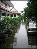 After rain (Bangkok).JPG