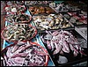 Market - seafood (Mae Sot).JPG